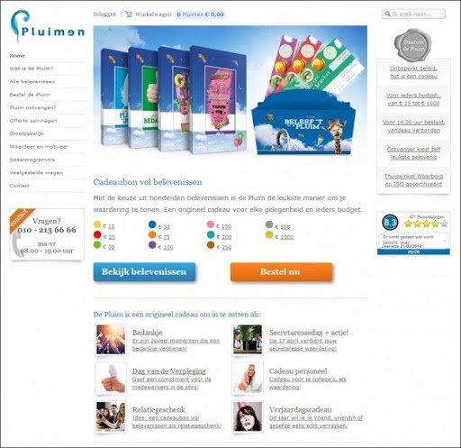 Control Version Of Pluimen's Landing Page Testing Experiment